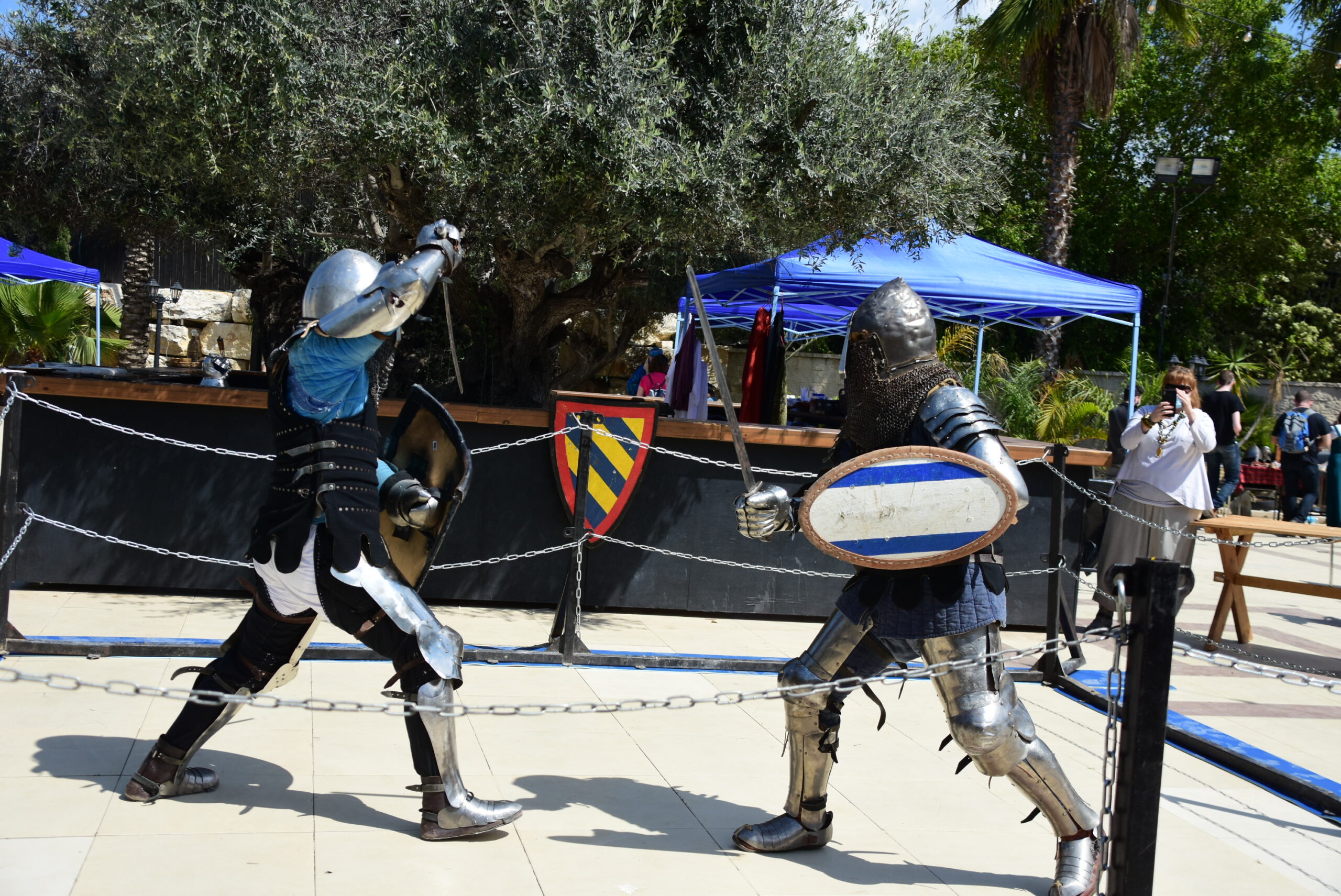 קרבות הדגמה